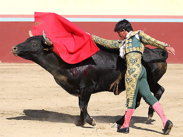 Todo el toro por delante