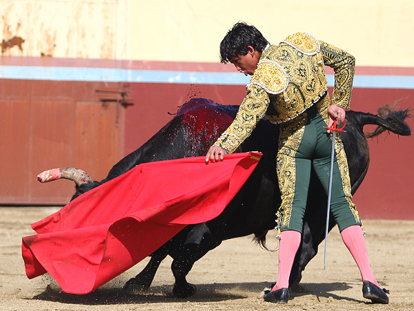 El trazo del natural