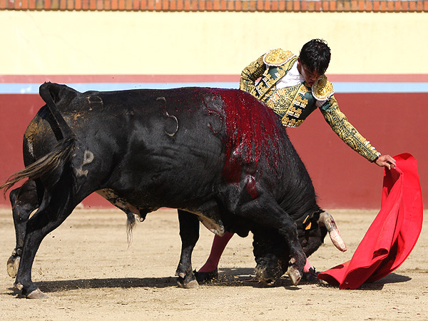 Ense��ndole el camino