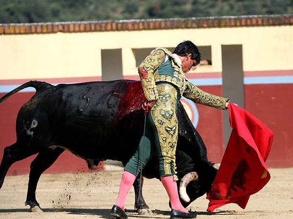 Enganchando al toro con los vuelos