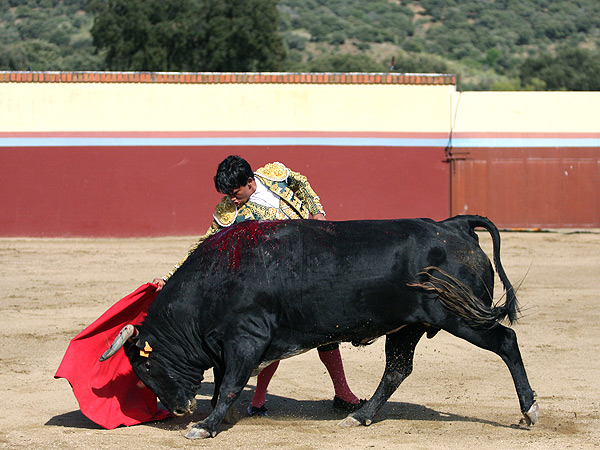 En la soledad del campo