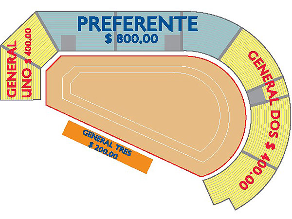 Forma extra�a del ruedo