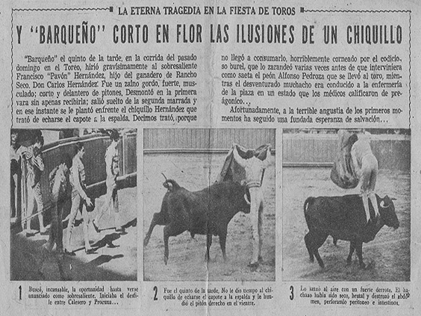 La noticia del percance