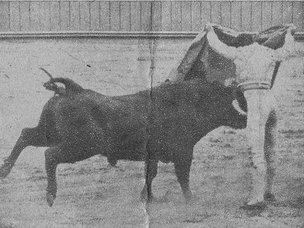 Se qued� m�s quieto que un poste