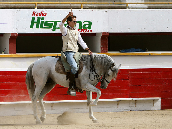 Preparando la suerte Gast�n