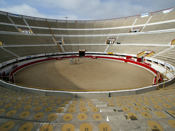 En la inmensidad del coso