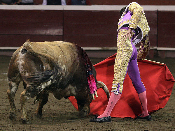 Calidad en la embestida