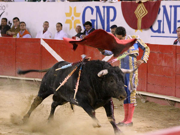 Un tanto alto y atacado de cuello