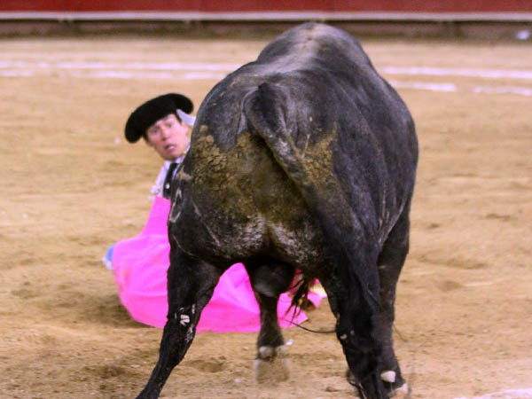 Qued� a merced del ejemplar