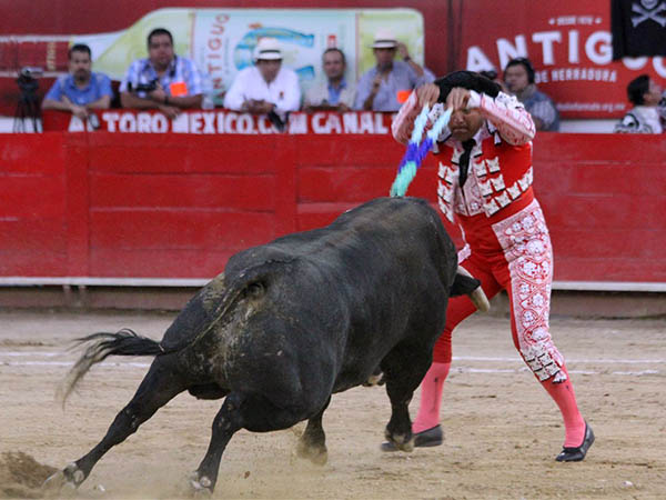 Juan Ram�n en banderillas