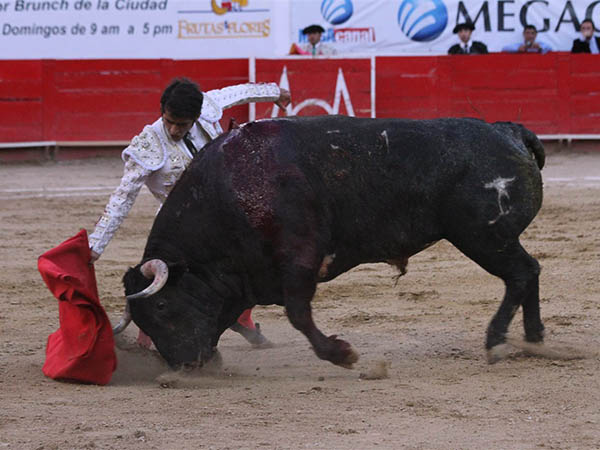 Comenz� a entregarse