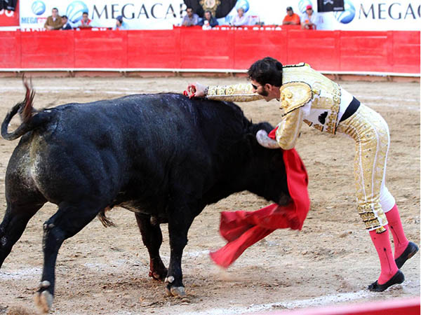 Mat� de una estocada efectiva