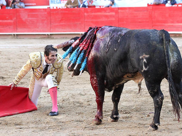 Desplantes y dem�s florituras