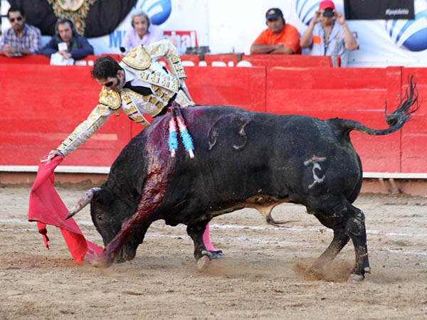 Trasteo din�mico y emocionante