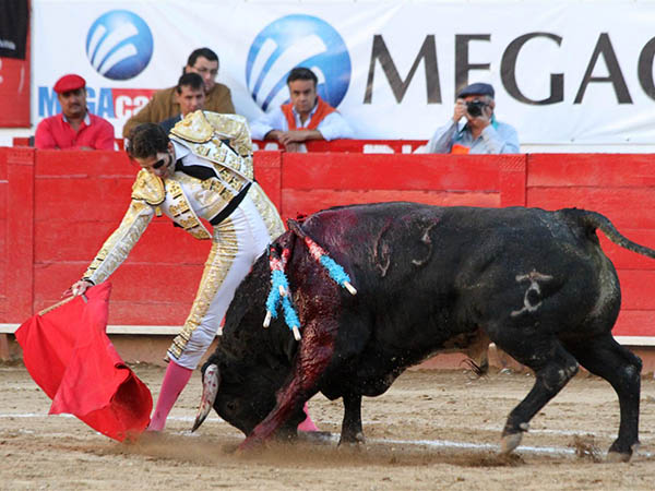 Los belfos en la arena