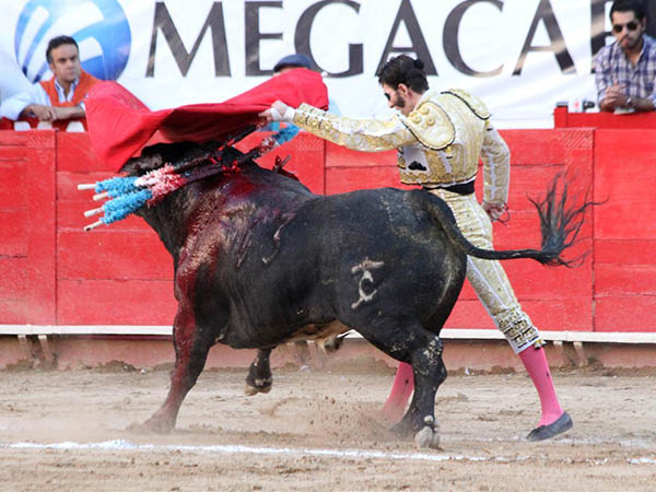 Con redondos y pases de pecho