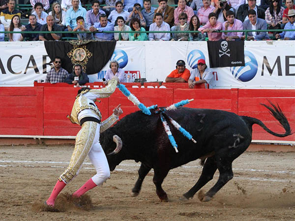 Convaleciente de la rodilla