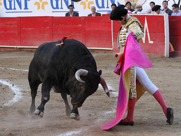 Casta ind�mita que no le cabe