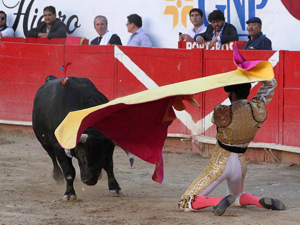 Ya deb�a embestirle un toro