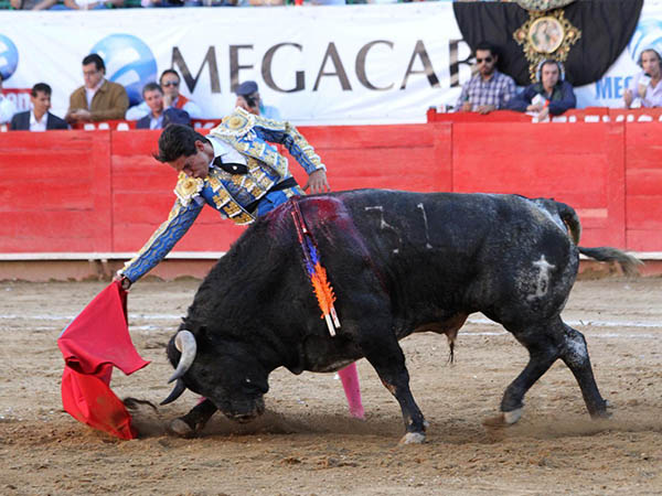 Algunas series decorosas