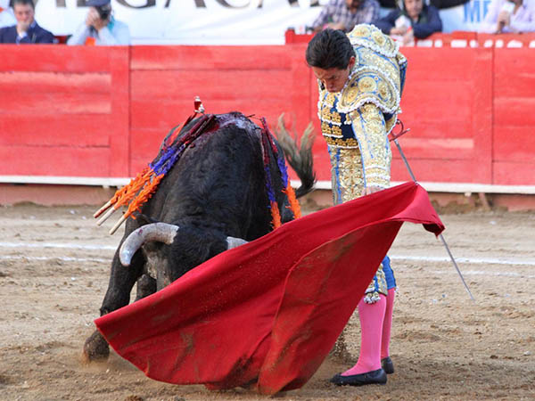 Por el que embisti� con transmisi�n