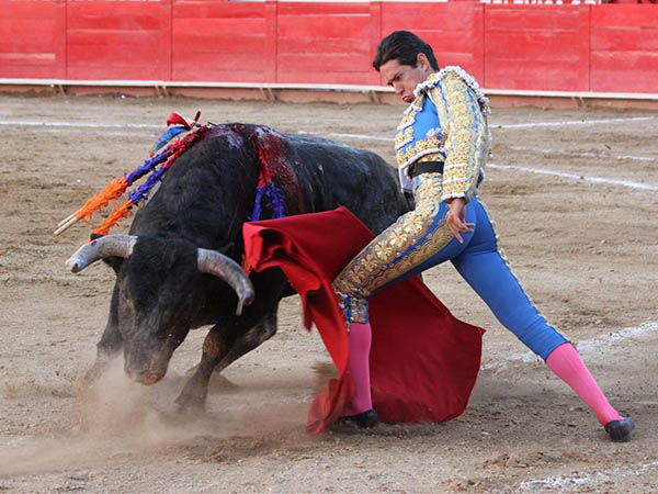 Un lote que le pidi� el carnet