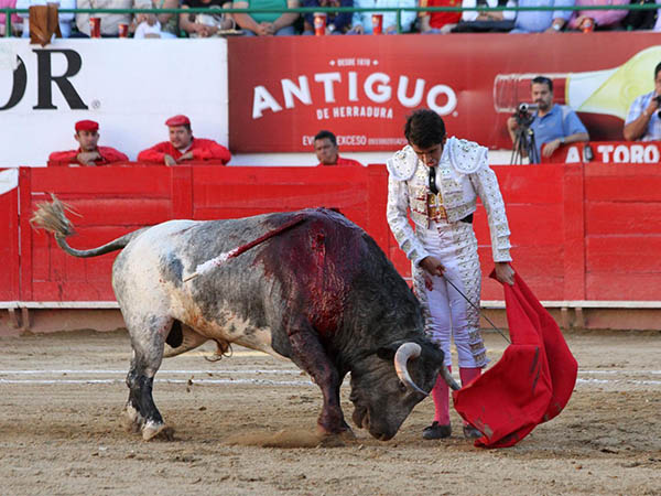 Hasta que el toro cambi�