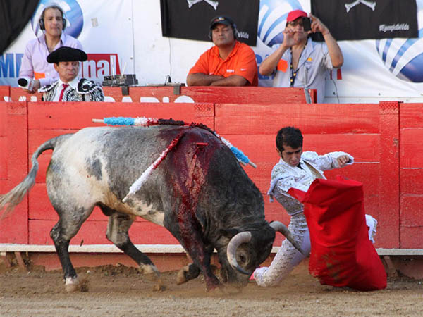 Se esforz� en la faena