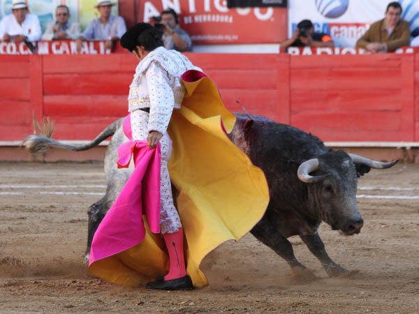 Estupendo quite por chicuelinas