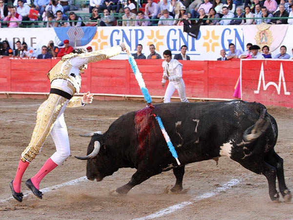 Espectacular en rehiletes