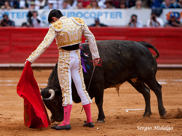 En los terrenos del toro