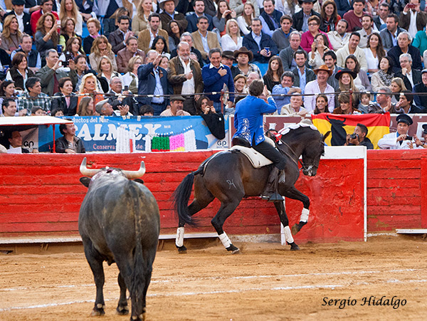 Brindis a Carlos Slim