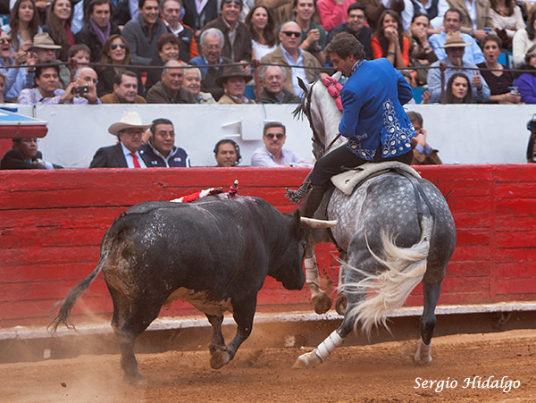 Vuelta completa al ruedo