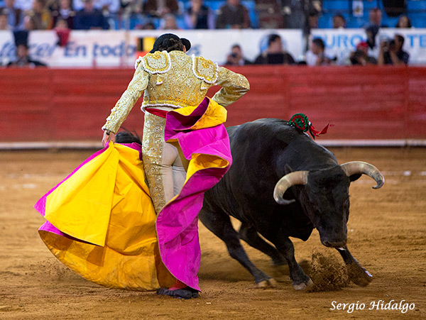 Aguantando la embestida