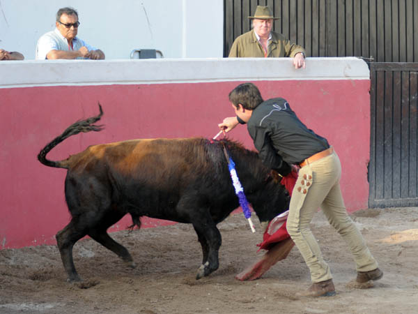 Estocad�n de Xavier Vivanco