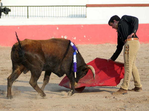 Bravo el de Campo Hermoso