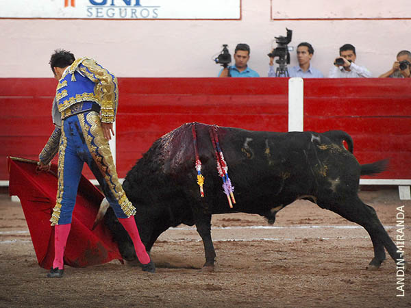 Ajustadas dosantinas