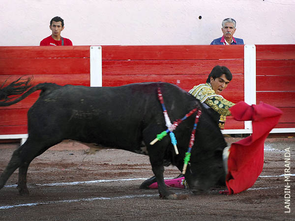 La voluntad est� fuera de discusi�n