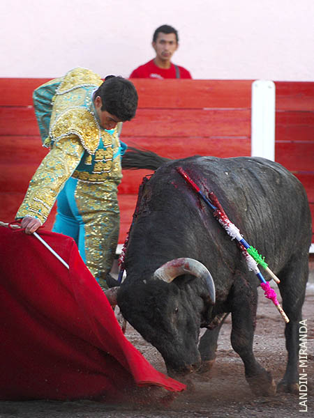 Dimensi�n y temple