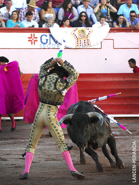 Par de Lalo Garc�a