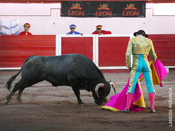 Cadencia y ritmo en los lances