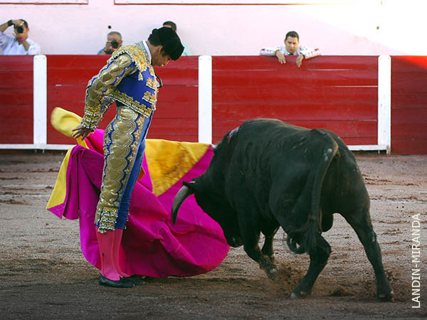 Elegantes lances de Frausto
