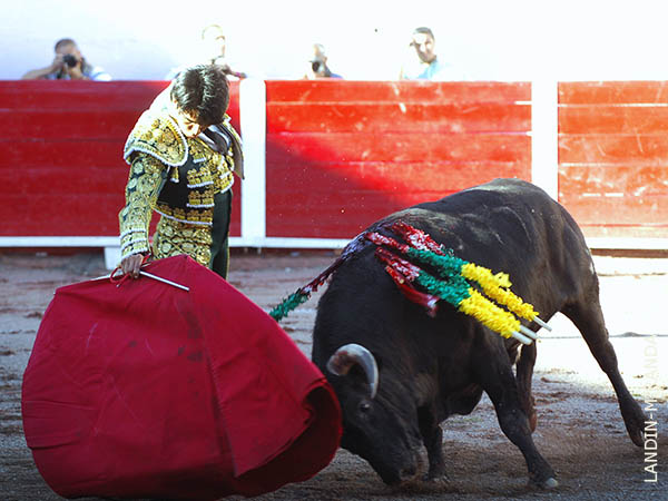 Trat� de agradar en todo momento