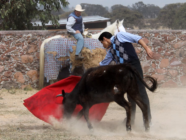 Ejemplar con recorrido