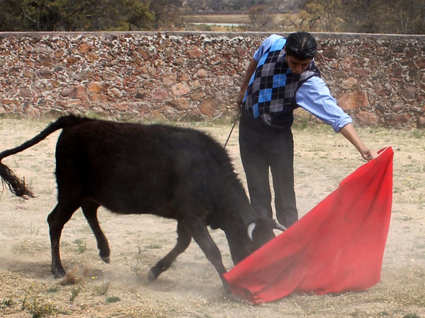 Reposo en los muletazos