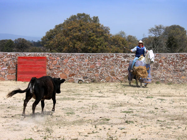 De largo y con tranco