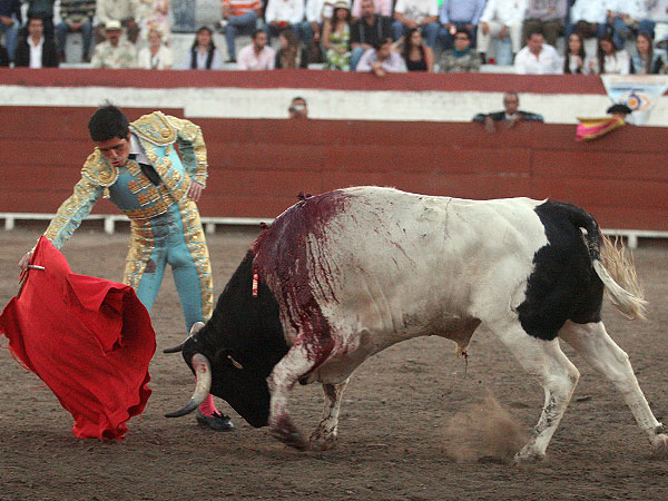 Ibelles con el cierraplaza