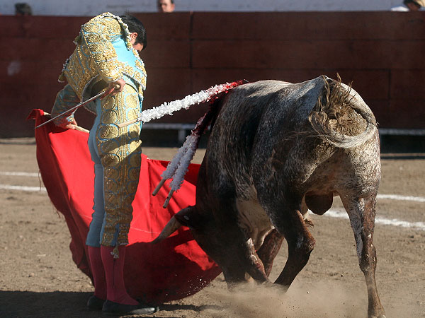 Disfrutando la embestida