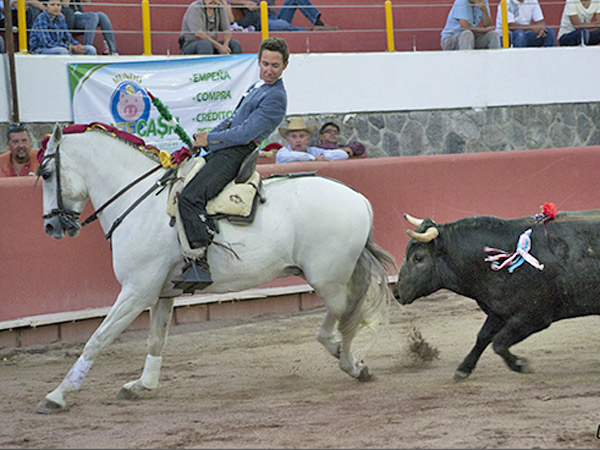 El temple de Leonardo