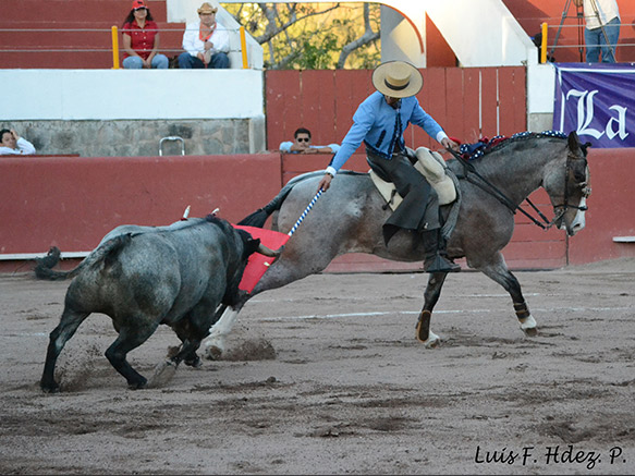 Gamero y la banderola